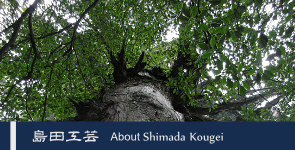 島田工芸 | About Shimada Kougei